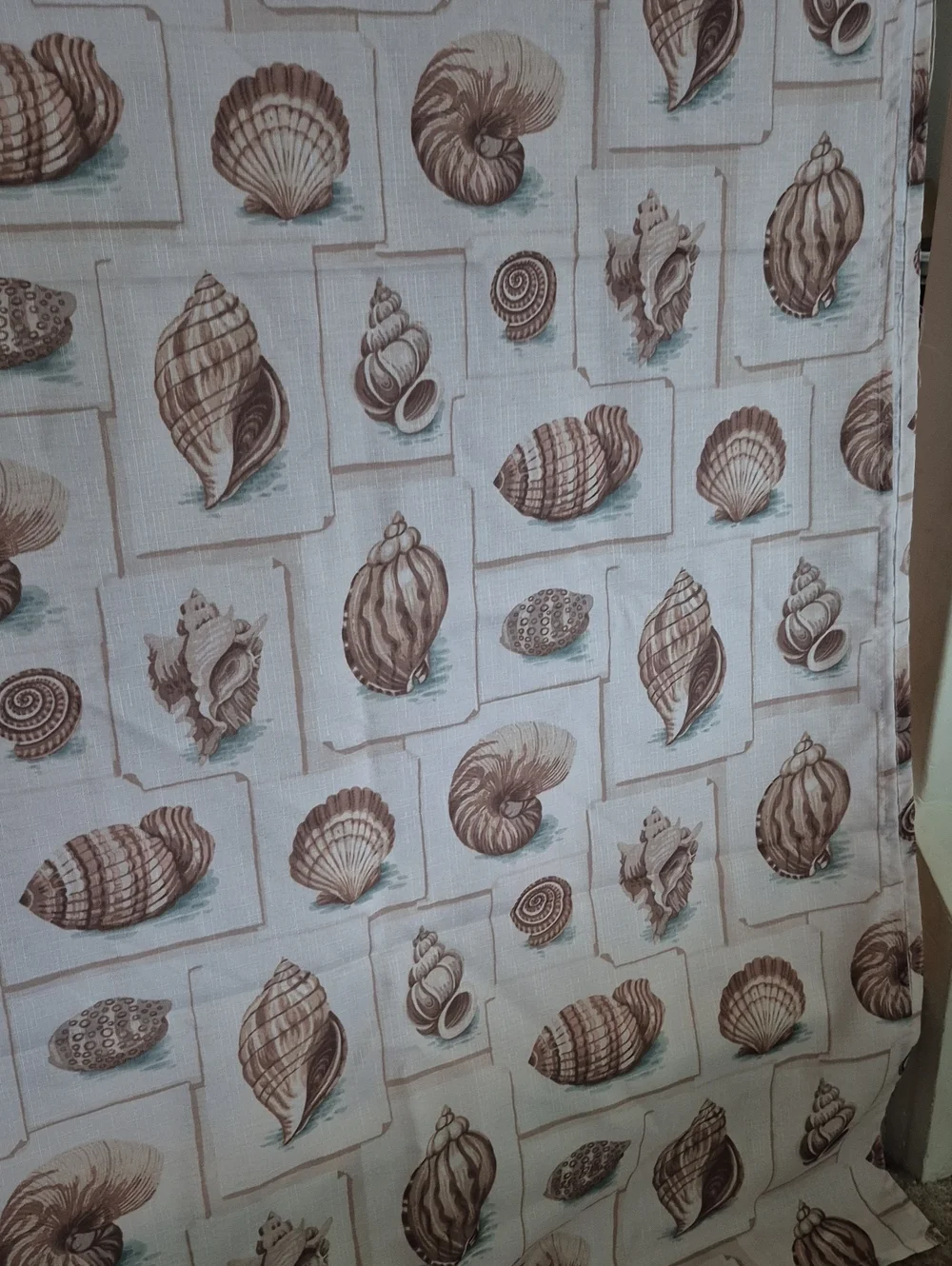Seashell Pattern Fabric Shower Curtain Cream and Brown